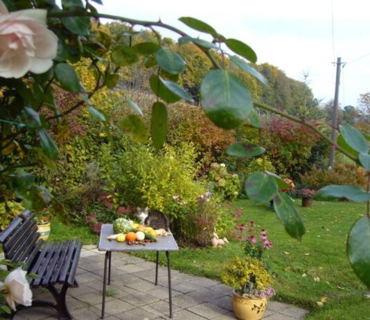 il giardino delle meraviglie