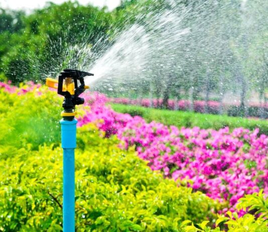 Tecniche di giardinaggio sostenibile