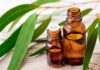 i benefici dell'olio essenziale di eucalipto