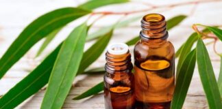 i benefici dell'olio essenziale di eucalipto